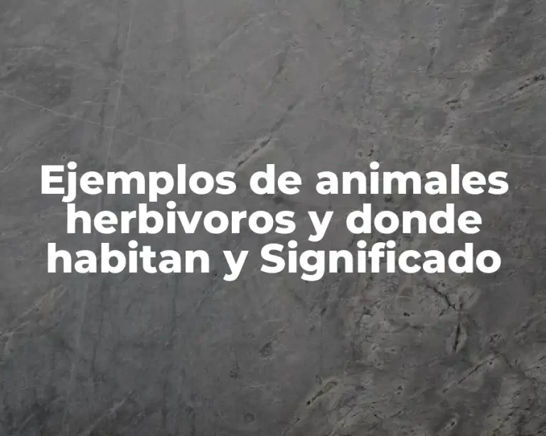 Ejemplos de animales herbivoros y donde habitan y Significado