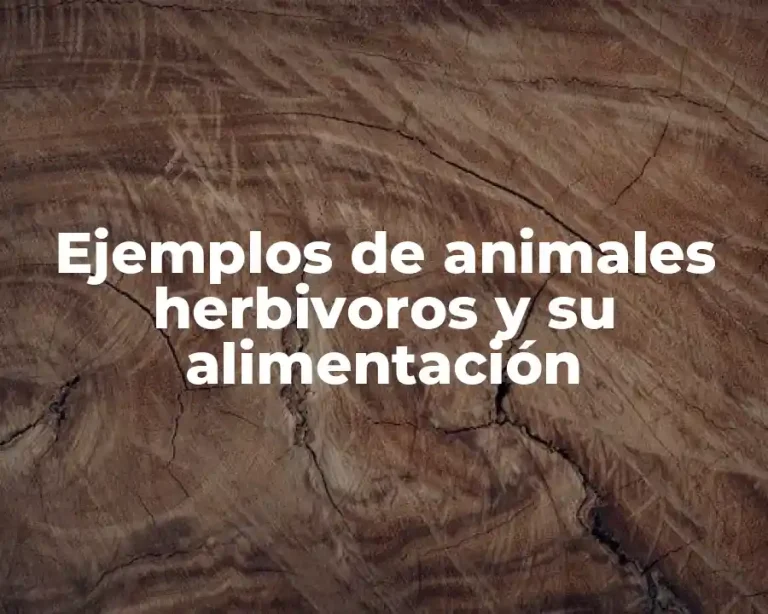 Ejemplos de animales herbivoros y su alimentación