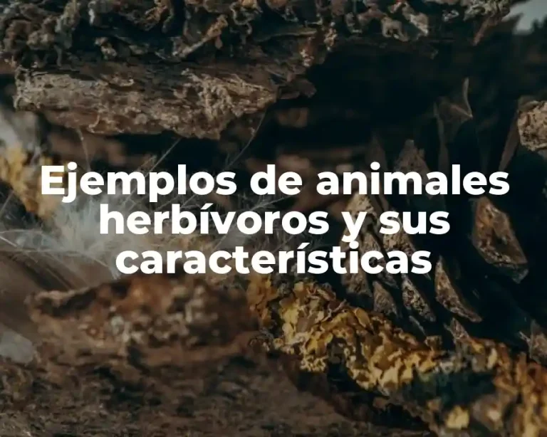 Ejemplos de animales herbívoros y sus características