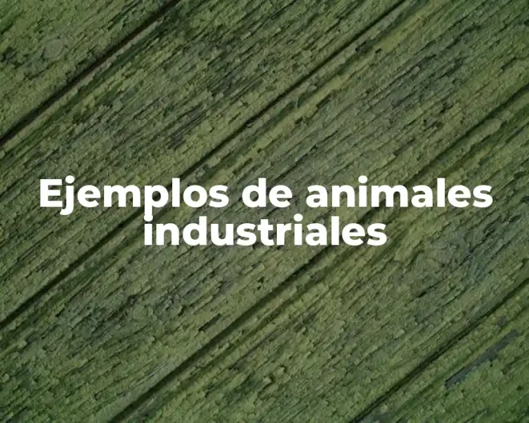 Ejemplos de animales industriales