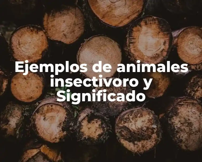 Ejemplos de animales insectivoro y Significado