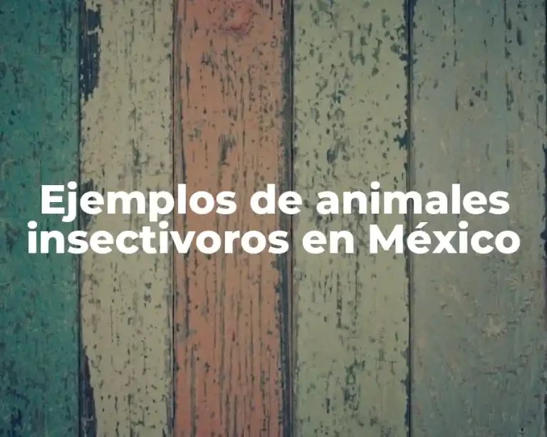Ejemplos de animales insectivoros en México
