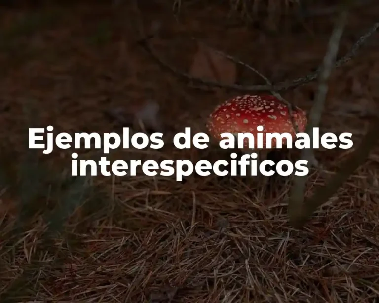 Ejemplos de animales interespecificos