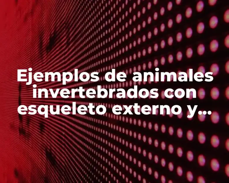Ejemplos de animales invertebrados con esqueleto externo y Significado