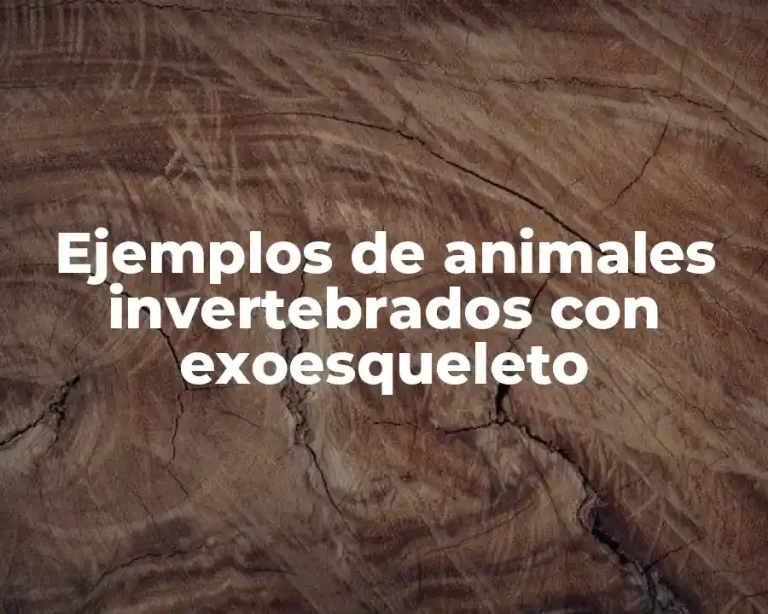 Ejemplos de animales invertebrados con exoesqueleto