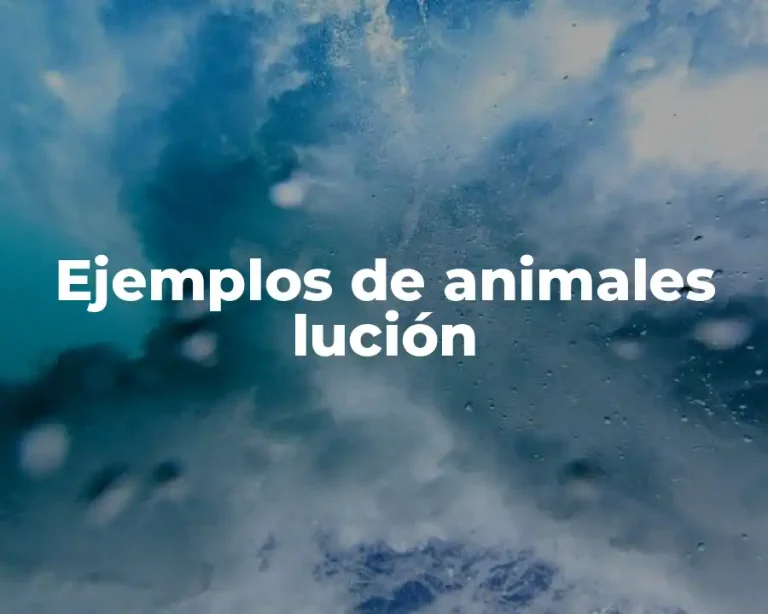 Ejemplos de animales lución