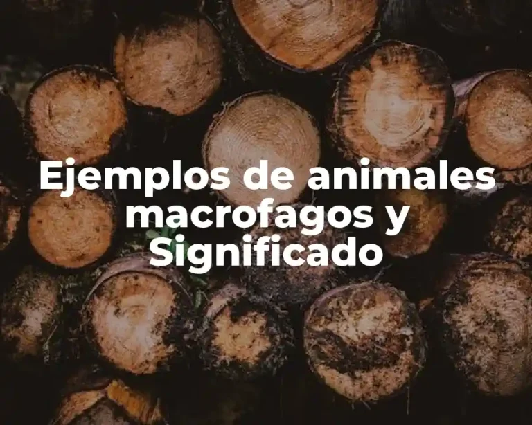 Ejemplos de animales macrofagos y Significado