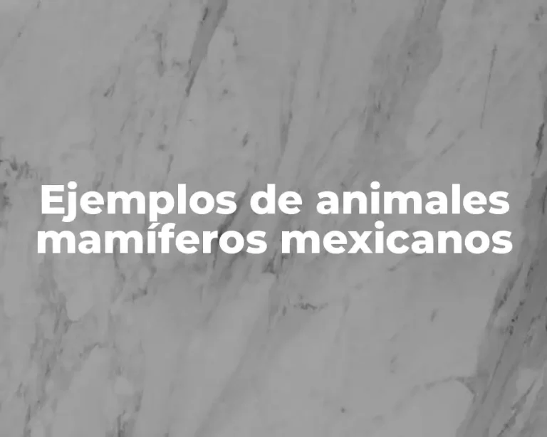 Ejemplos de animales mamíferos mexicanos