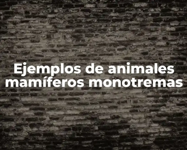 Ejemplos de animales mamíferos monotremas