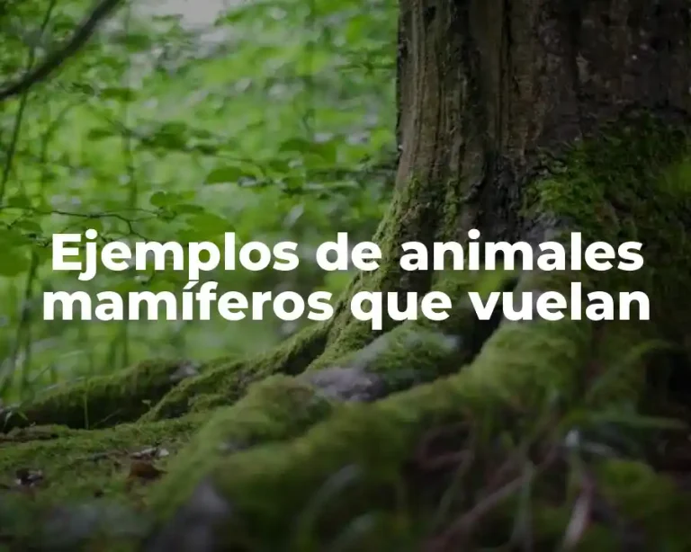 Ejemplos de animales mamíferos que vuelan