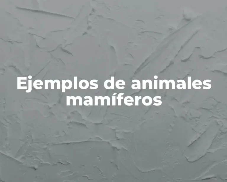 Ejemplos de animales mamíferos