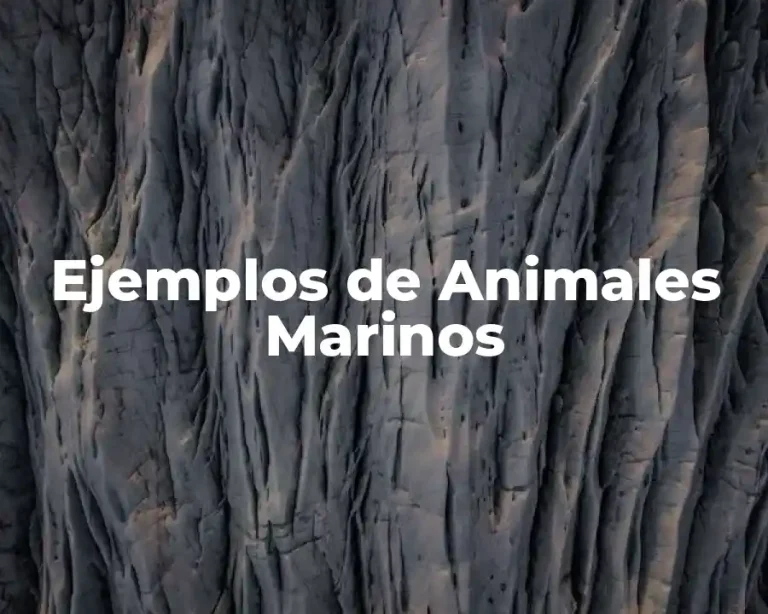 Ejemplos de Animales Marinos
