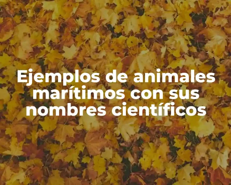 Ejemplos de animales marítimos con sus nombres científicos