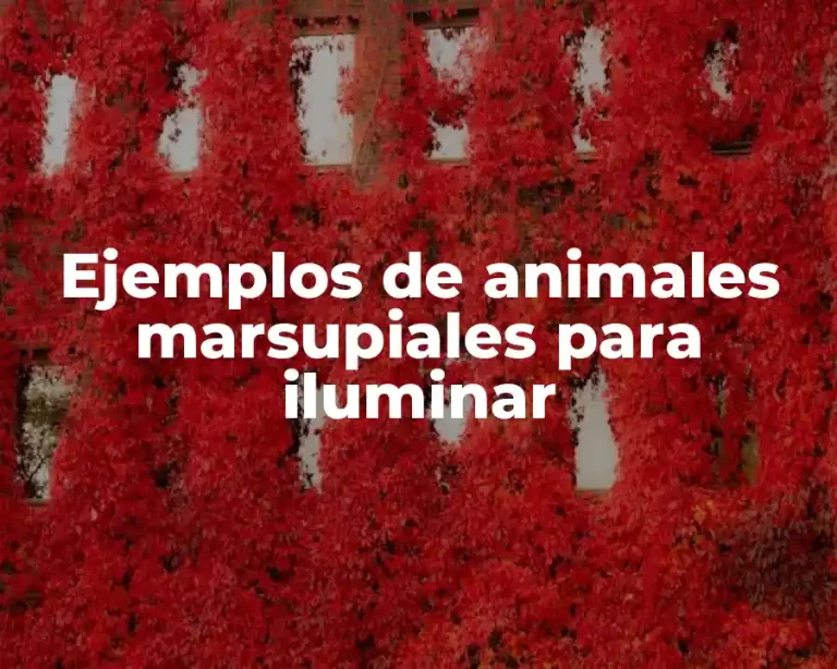 Ejemplos de animales marsupiales para iluminar