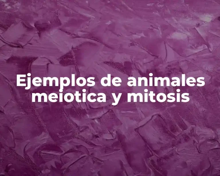 Ejemplos de animales meiotica y mitosis