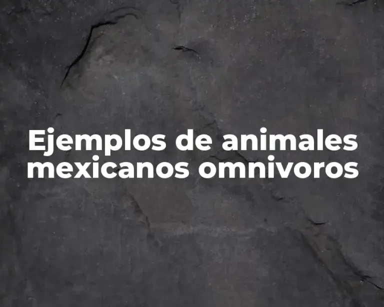 Ejemplos de animales mexicanos omnivoros