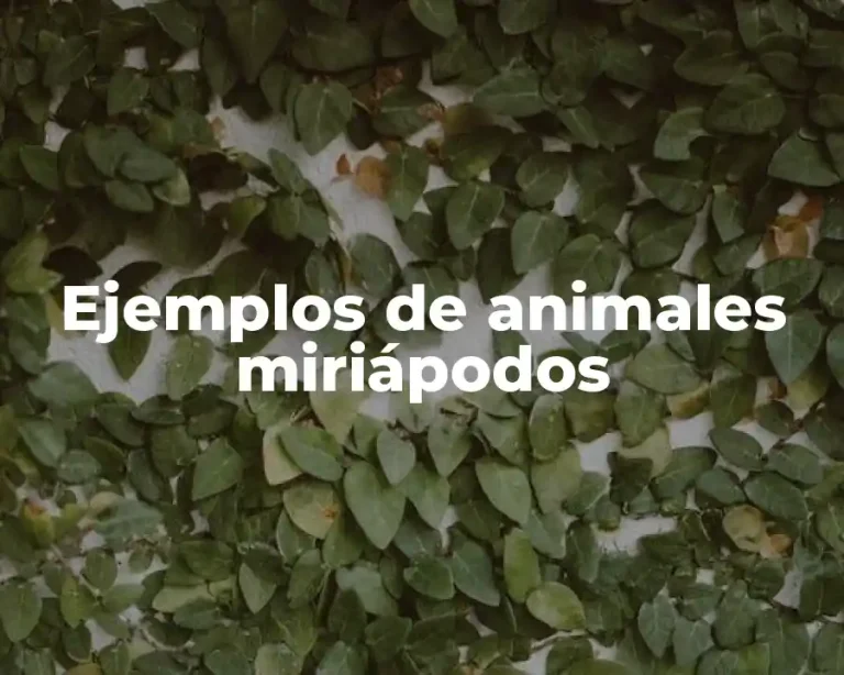 Ejemplos de animales miriápodos