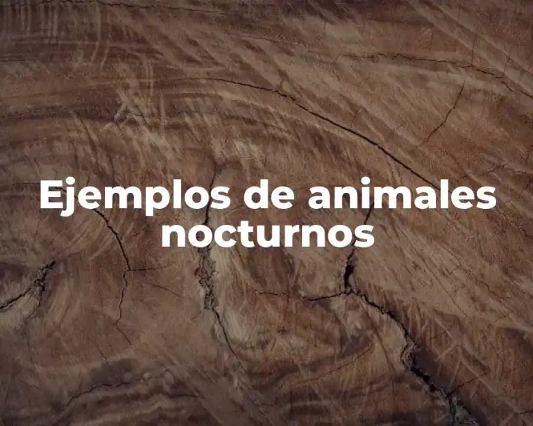 Ejemplos de animales nocturnos
