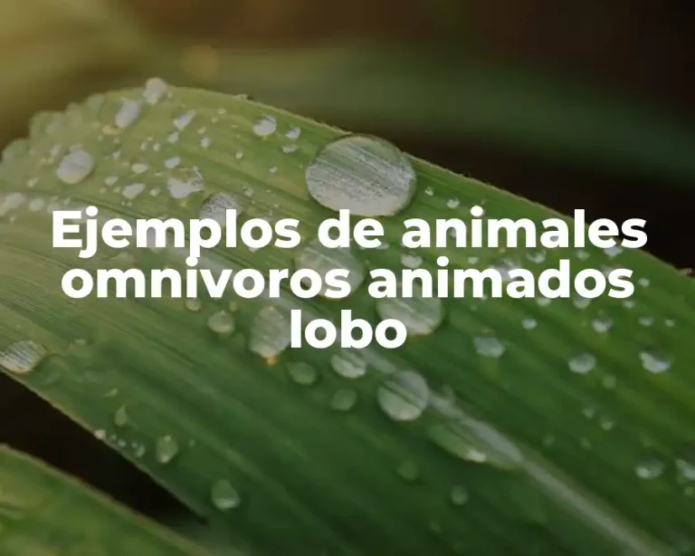 Ejemplos de animales omnivoros animados lobo