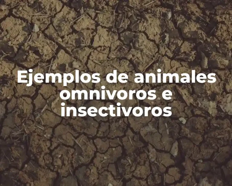 Ejemplos de animales omnivoros e insectivoros