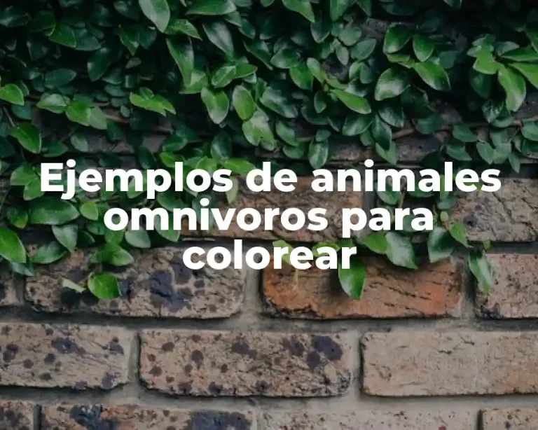 Ejemplos de animales omnivoros para colorear