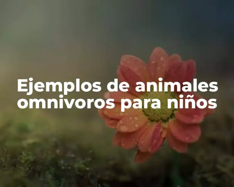 Ejemplos de animales omnivoros para niños