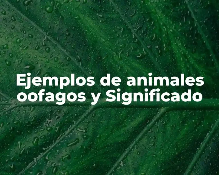 Ejemplos de animales oofagos y Significado