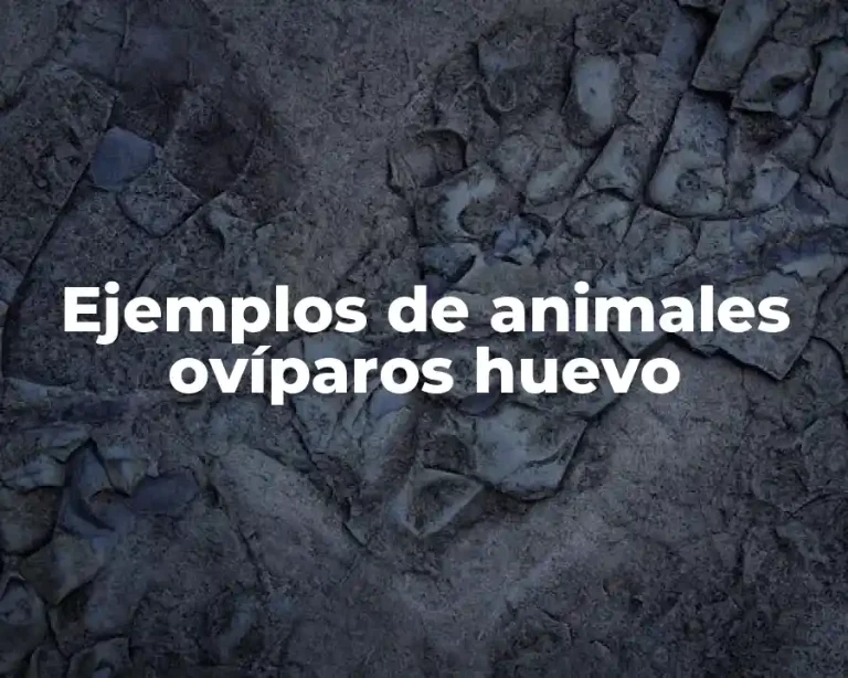 Ejemplos de animales ovíparos huevo