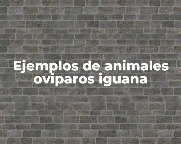 Ejemplos de animales oviparos iguana