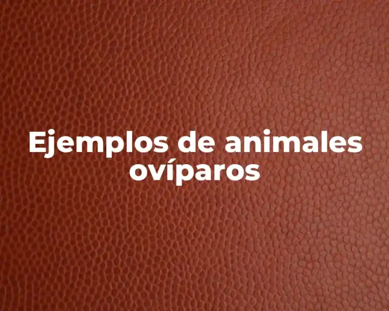 Ejemplos de animales ovíparos
