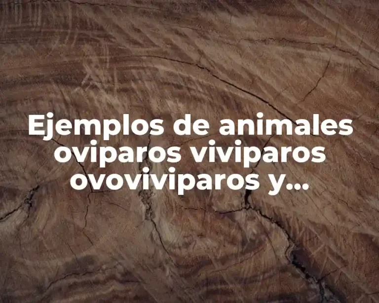 Ejemplos de animales oviparos viviparos ovoviviparos y ovuliparos