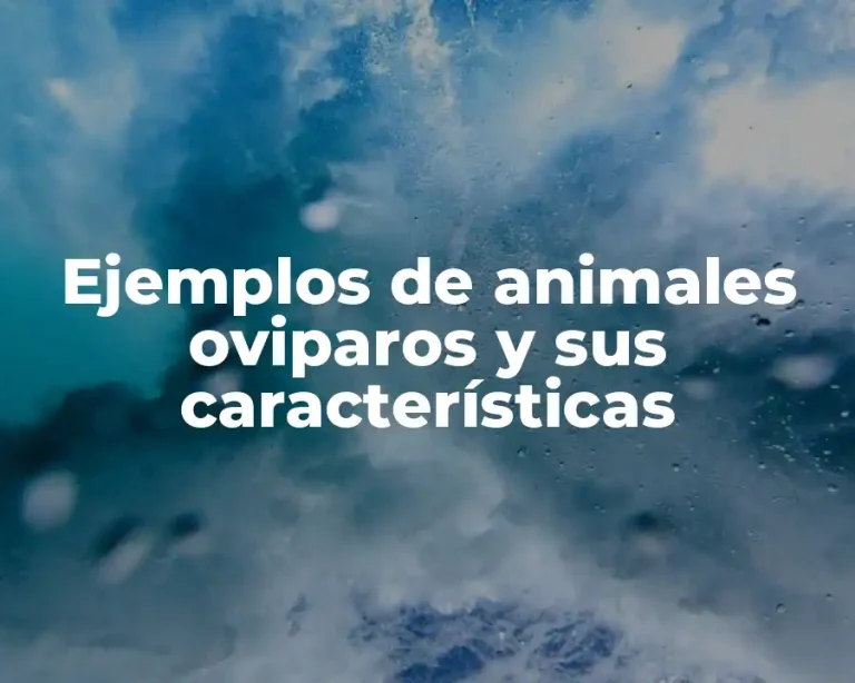 Ejemplos de animales oviparos y sus características