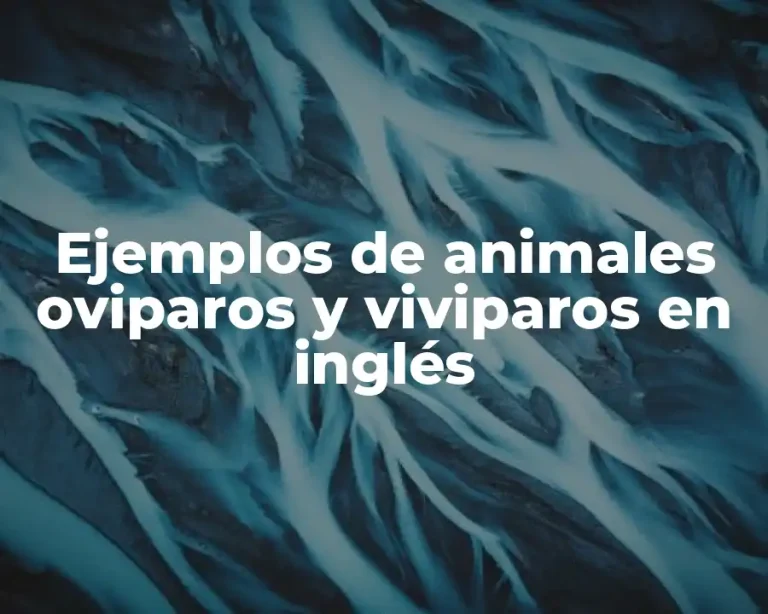 Ejemplos de animales oviparos y viviparos en inglés