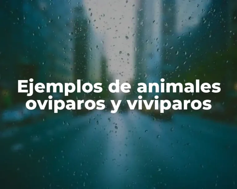 Ejemplos de animales oviparos y viviparos