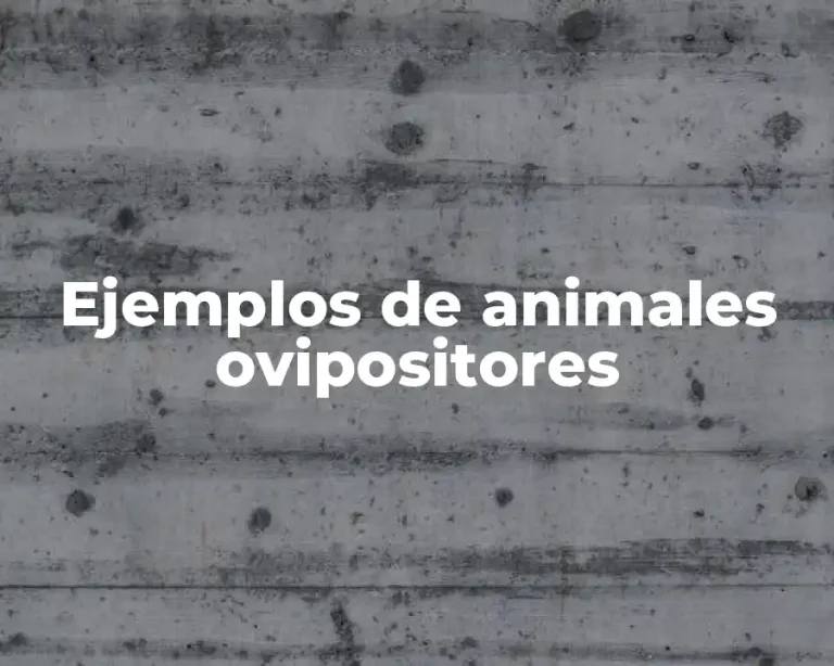 Ejemplos de animales ovipositores