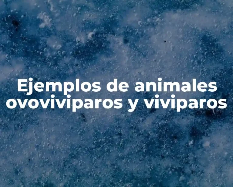 Ejemplos de animales ovoviviparos y viviparos