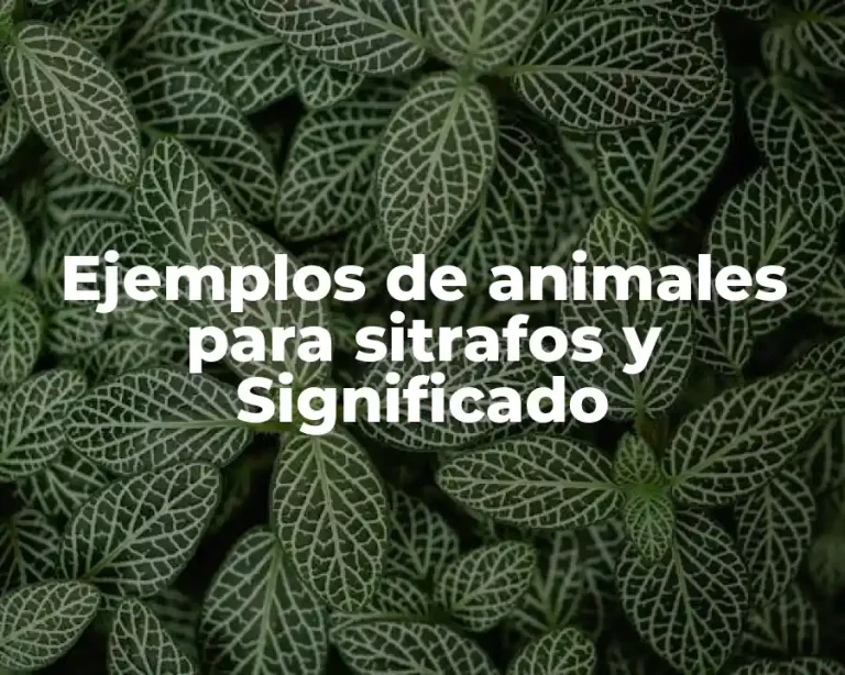 Ejemplos de animales para sitrafos y Significado