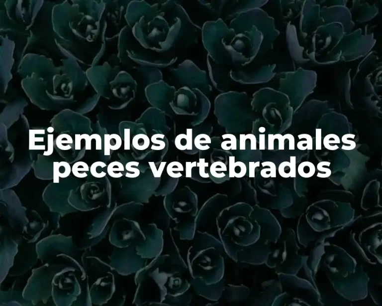 Ejemplos de animales peces vertebrados
