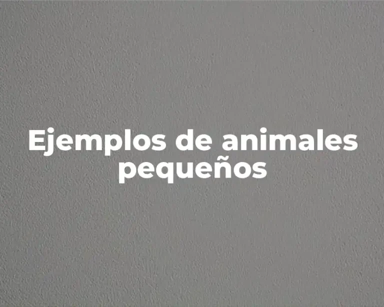 Ejemplos de animales pequeños