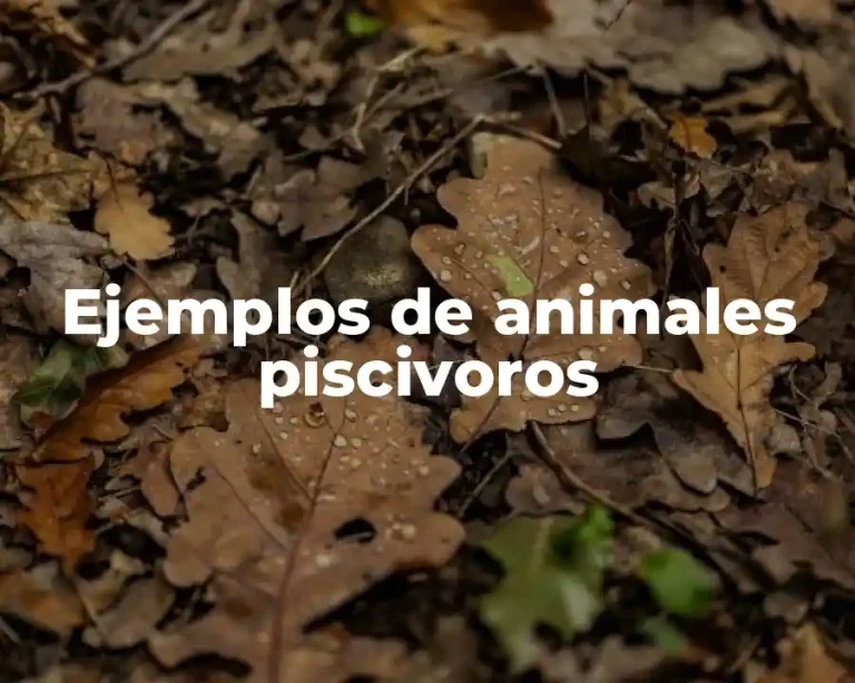 Ejemplos de animales piscivoros