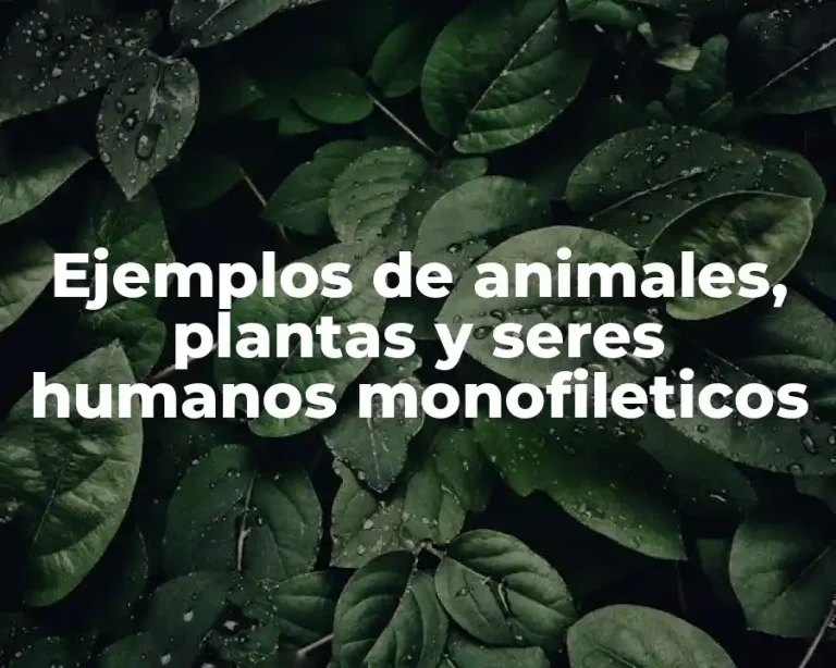 Ejemplos de animales, plantas y seres humanos monofileticos