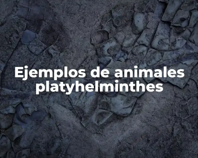 Ejemplos de animales platyhelminthes