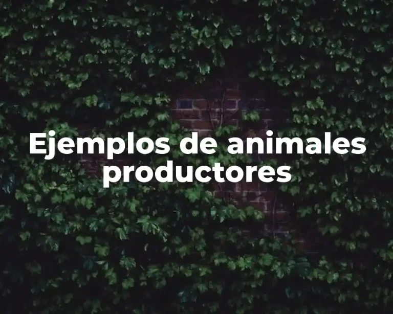Ejemplos de animales productores