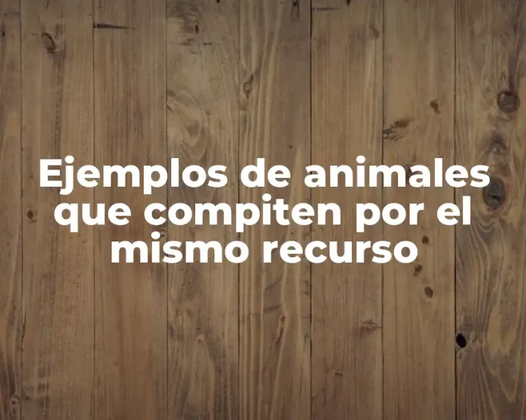 Ejemplos de animales que compiten por el mismo recurso