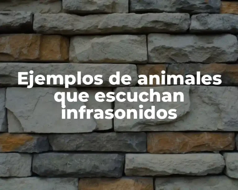 Ejemplos de animales que escuchan infrasonidos