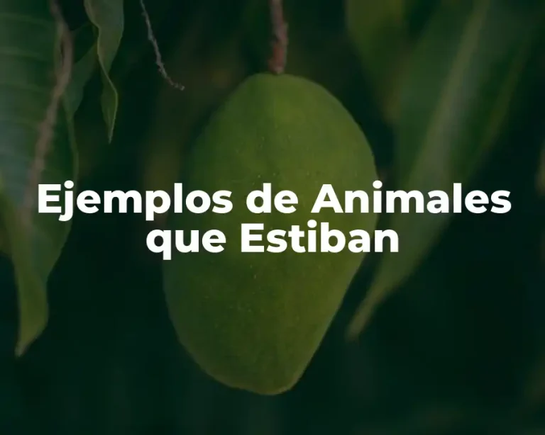 Ejemplos de Animales que Estiban