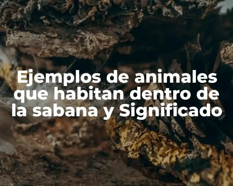 Ejemplos de animales que habitan dentro de la sabana y Significado