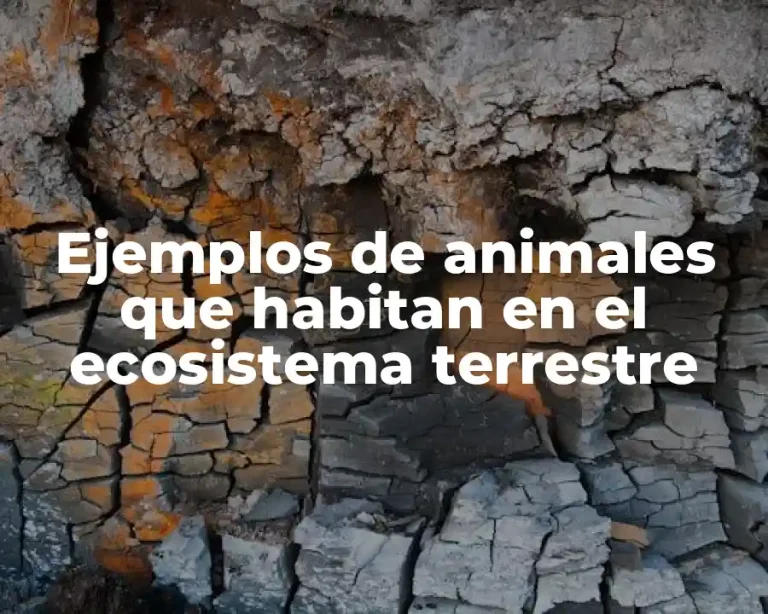 Ejemplos de animales que habitan en el ecosistema terrestre