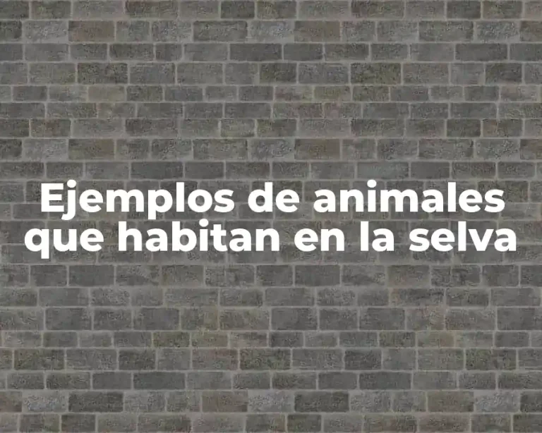 Ejemplos de animales que habitan en la selva