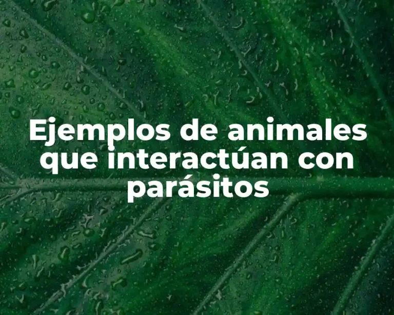 Ejemplos de animales que interactúan con parásitos